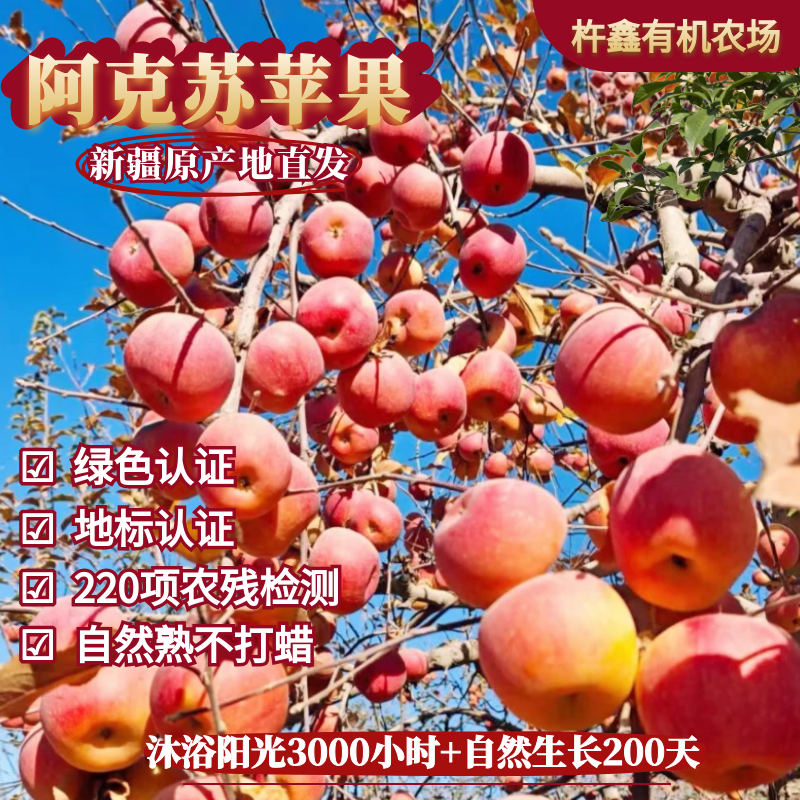 正宗新疆阿克苏苹果绿色地标认证无添加不打蜡自然熟原产地直发