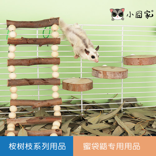 蜜袋鼯桉树系列用品小囧家玩具