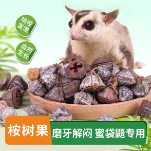 蜜袋鼯玩具磨牙解闷桉树果桉树叶垫料造景用品蜜袋鼬吊桥玩具自嗨
