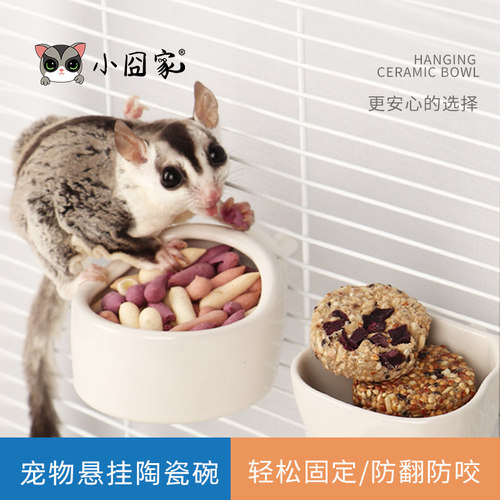 蜜袋鼯飞鼠花枝仓鼠可固定悬挂碗