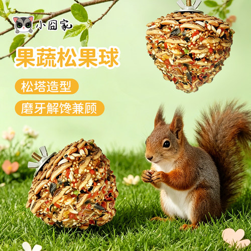 松鼠磨牙奖励零食果蔬松果球