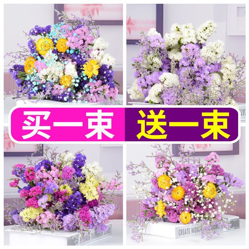 勿忘我干花花束客厅摆设装饰摆件真花风干天然云南鲜花批发满天星