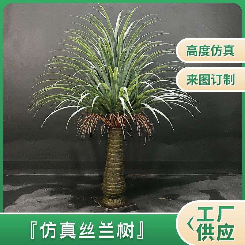 观赏塑料丝兰树绿植户外装饰花槽长条栅栏插花庭院盆栽真