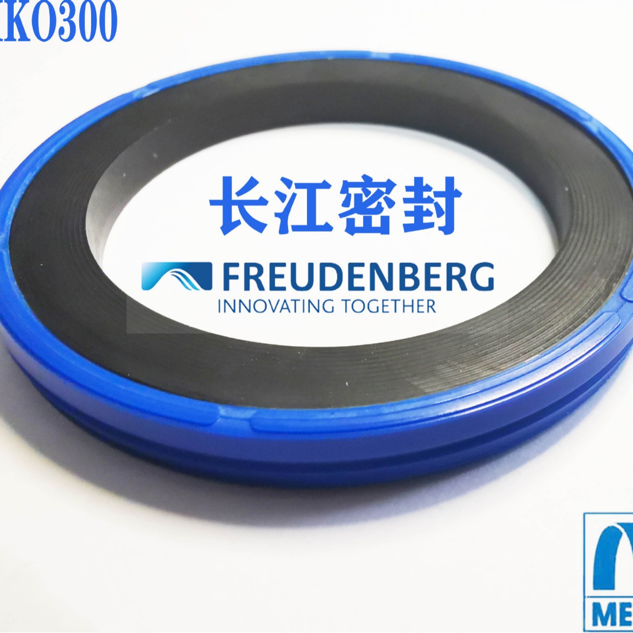 simko300德国CFW进口密封件