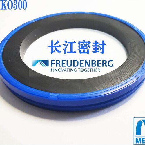 simko300德国CFW进口密封件