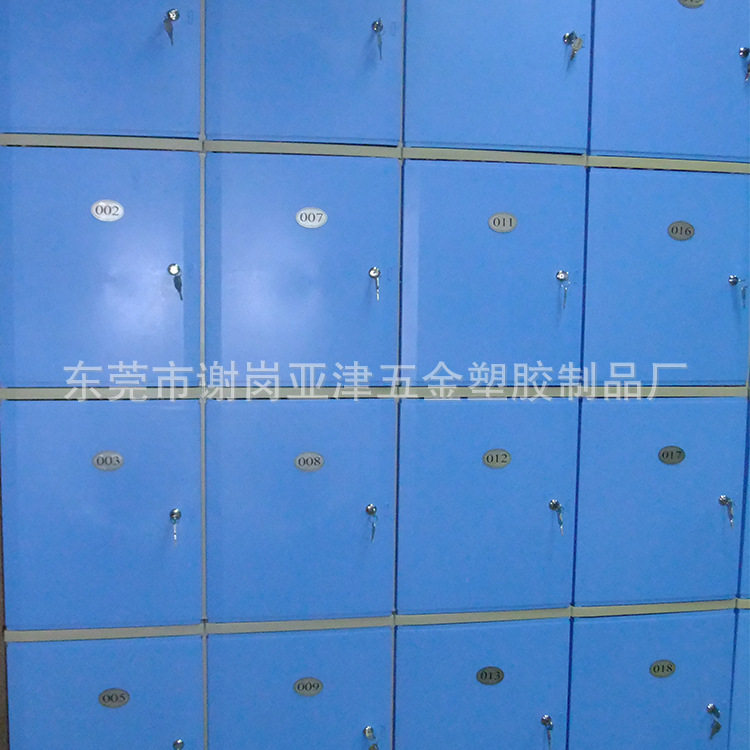 工厂直销批发桑拿更衣柜ABS防水防潮浴室储物柜12门寄存柜电子存