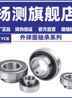 外圈平面轴承带顶丝CSB202 203 204 205 206 207 208 209 210