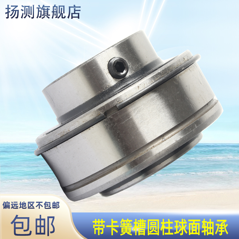 带止动环外球面轴承SER201 202 203 204 205 206  207 208 SER209