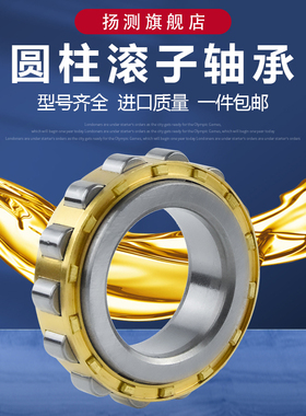 哈尔滨CF减速机偏心圆柱轴承RN213 214 215 216 217 218 219EM/P5