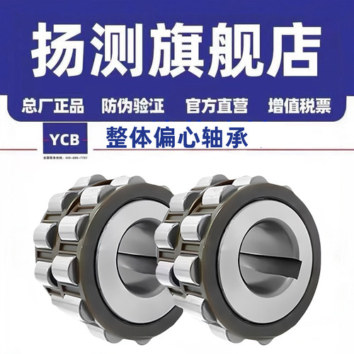 减速机偏心轴承15UZ 824359 21011 607YXX 19UZS208T2 610 51 YSX