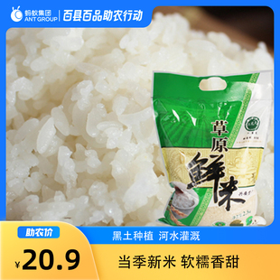 2025年新米兴安盟长粒香东北大米5斤二龙屯直供新米香软糯