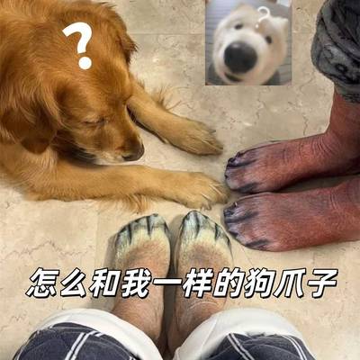 3D数码印花袜动物爪子袜子潮趣