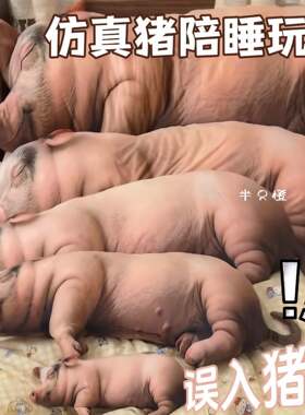 小猪抱枕可爱彷真丑萌玩偶挂件