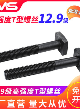 12.9级T型螺丝t形模具压板螺栓钉M12M14M16M20M24M30T冲床铣床t形