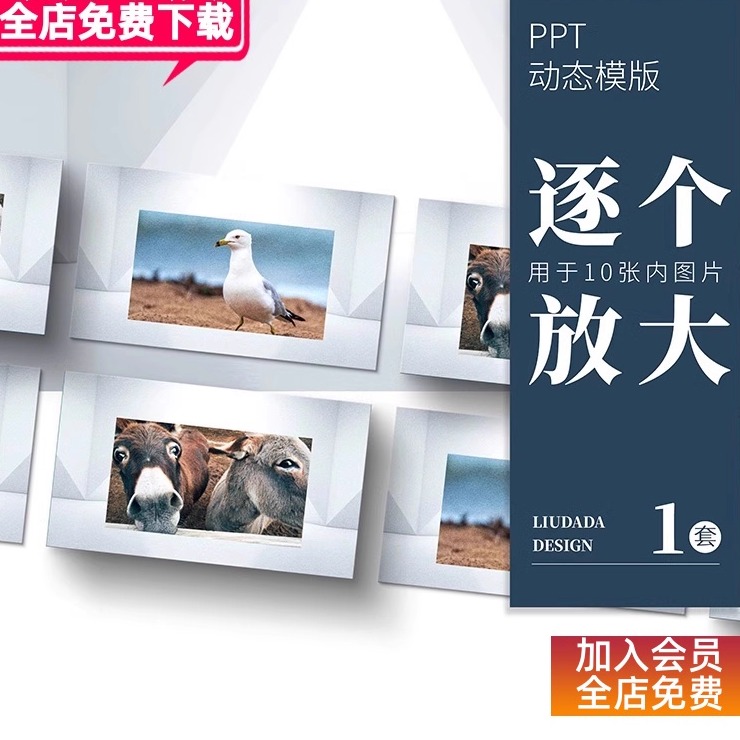 PPT丨10张图片以下可用轮播逐个依次放大展示动画模板素材
