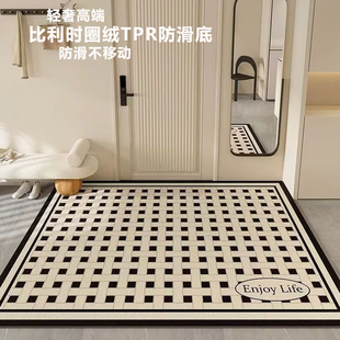 入户门地垫门口脚垫玄关门垫可擦洗免洗裁剪家用入门进门圈绒地毯
