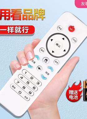 王牌适用于志高创佳KONGWA夏新先科金正韩乐pasnsaio电视机遥控器