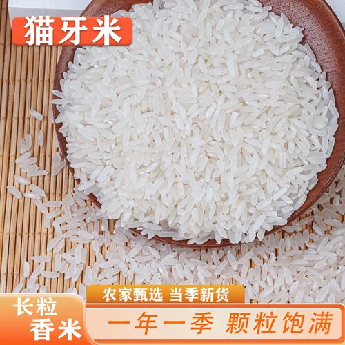 猫牙米农家新米长粒香米煲仔饭