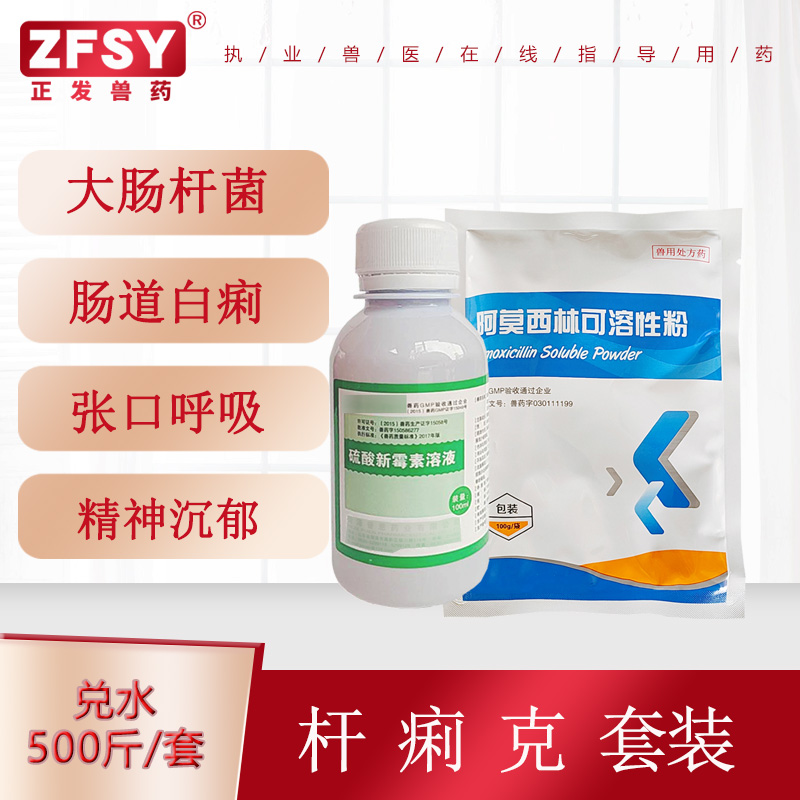 兽药杆痢克阿莫西林新霉素溶液鸡大肠杆菌肠道白痢腹泻葡球菌