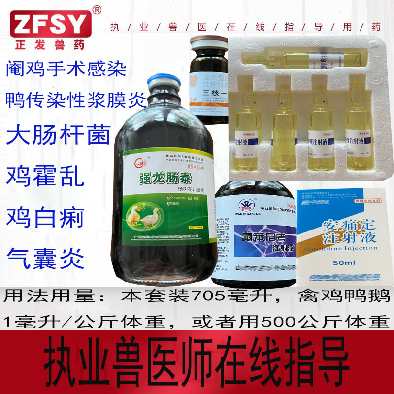 兽药强龙氟苯乙酰禽大肠杆菌鸡白痢气囊炎阉鸡手术感染浆膜炎霍乱