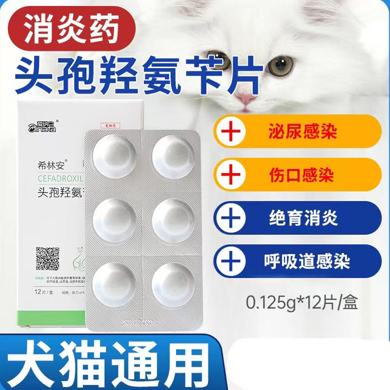 爱纳它头孢羟氨苄片狗狗猫咪感冒咳嗽犬窝咳嗽流鼻涕打喷嚏消炎药