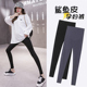 孕妇鲨鱼裤 子孕妇秋冬装 春秋冬外穿打底裤 加绒加厚休闲瑜伽长裤