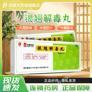 冯了性银翘解毒丸9g*10丸/盒风热感冒发热头痛咳嗽口干咽喉疼痛