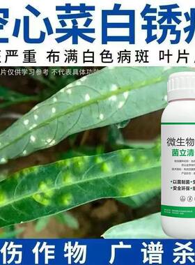 【买一发四】空心菜病全治叶斑病白锈病铁锈病青菜菜地专用杀菌剂