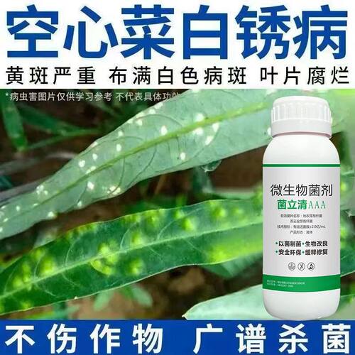 【买一发四】空心菜病全治叶斑病白锈病铁锈病青菜菜地专用杀菌剂