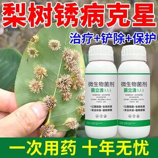 【大包装】梨树病全治梨树病害专用梨锈病专用黑星黑斑病杀菌剂