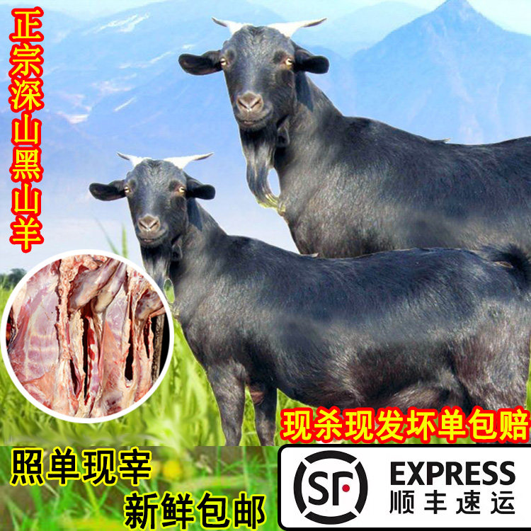 新鲜羊肉羊腿鲜嫩羊排正宗黑山羊