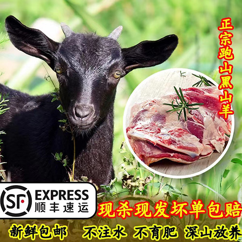 新鲜黑山羊肉后山散养黑山羊现杀