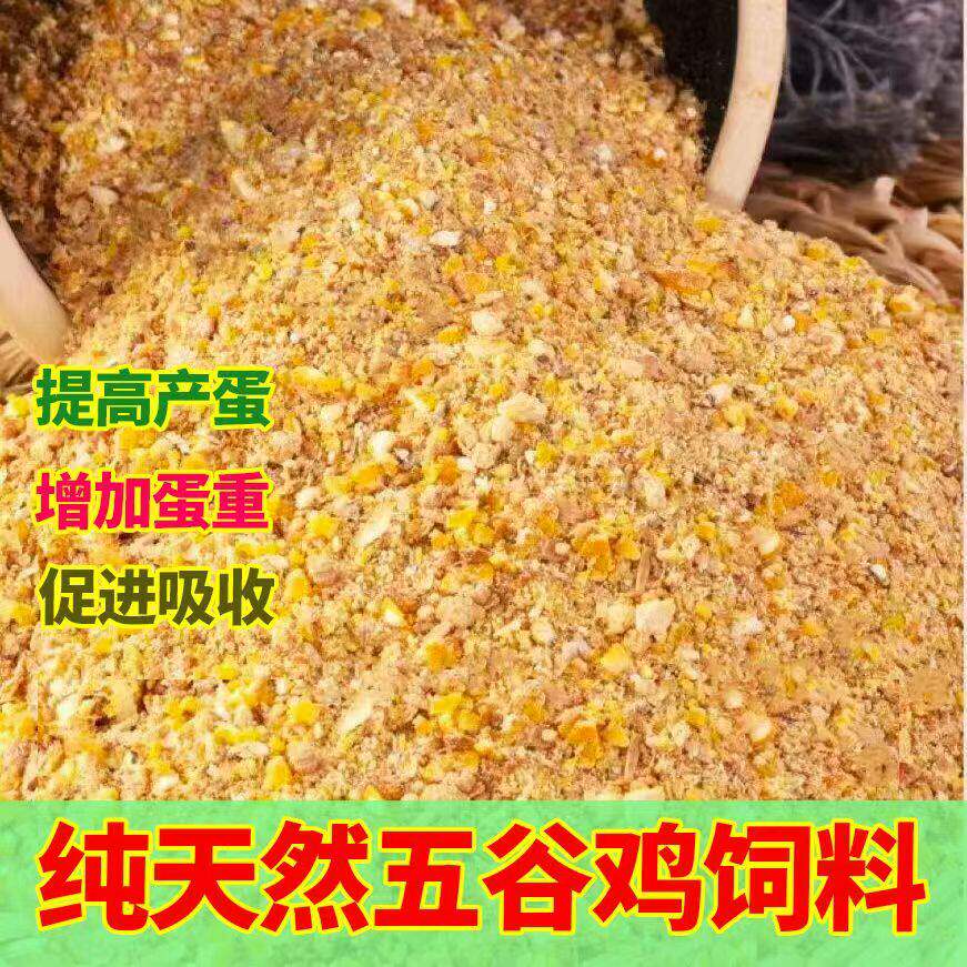 玉米碎饲料喂鸡鸭鹅家禽