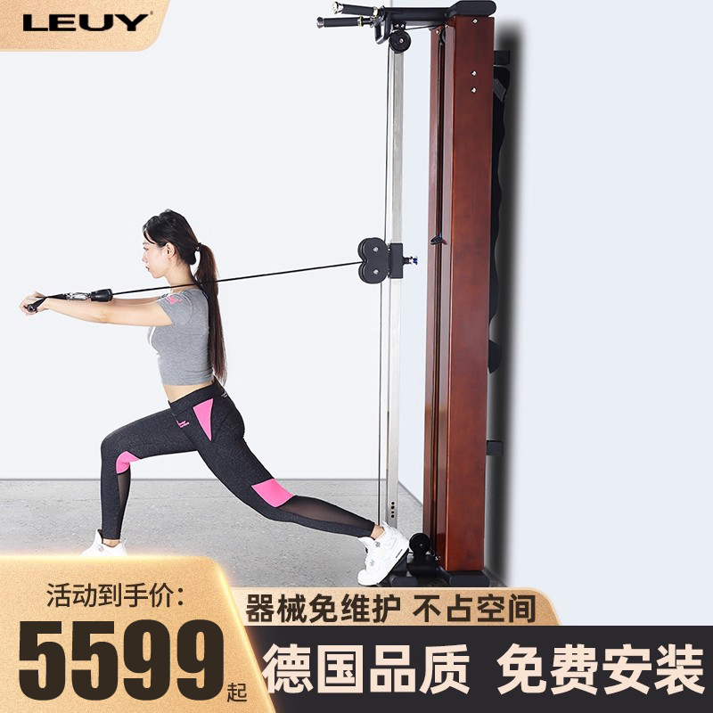 LEUY力依小飞鸟高拉背低拉划船引体家用多功能史密斯综合训练器