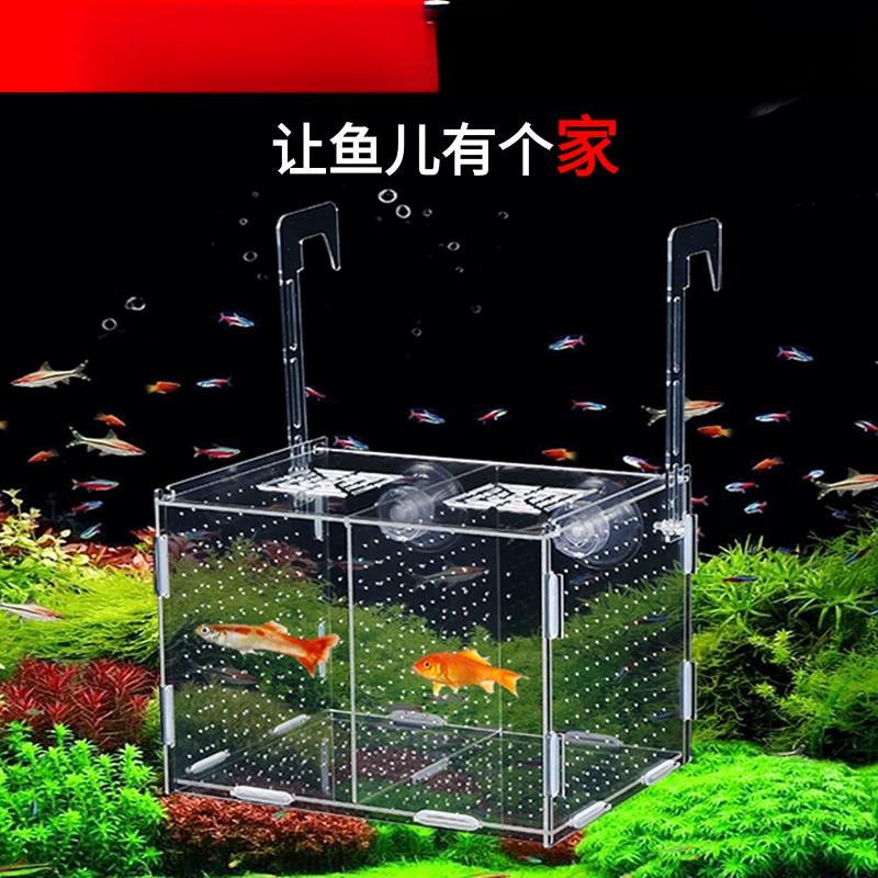 亚克力鱼缸分隔育苗盒