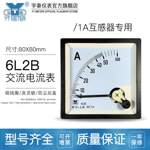 6L2B/1A指针式宇泰仪表