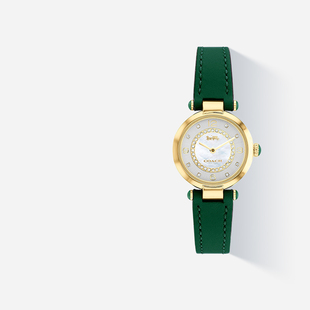 COACH蔻驰女士手表贝母表盘复古牛皮石英小绿表送女生女神节礼物