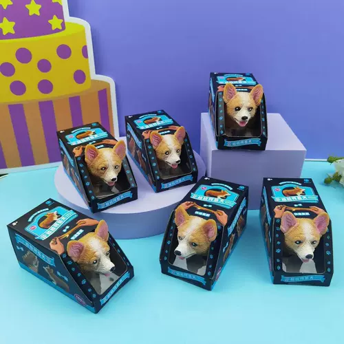 Творческая декомпрессия Corgi Dog Lala Стреляет в Haba Dog