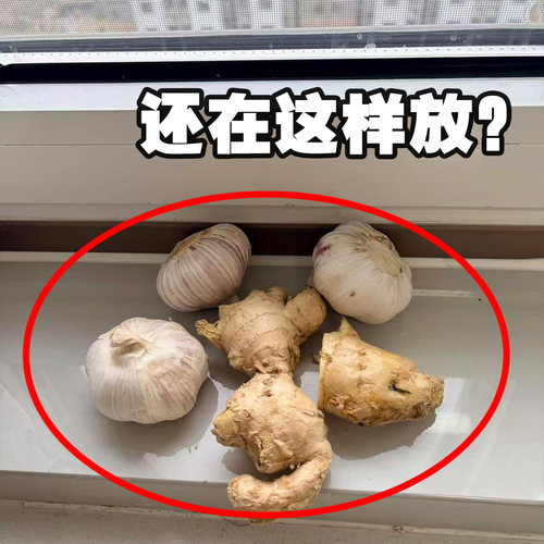 生姜大蒜往哪放？吸盘葱姜蒜收纳神器盒壁挂免打孔挂篮果蔬置物架