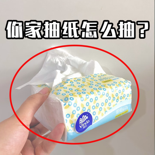 升降式纸巾盒自动下压通用创意收纳盒客厅卧室家用抽纸收纳纸巾套