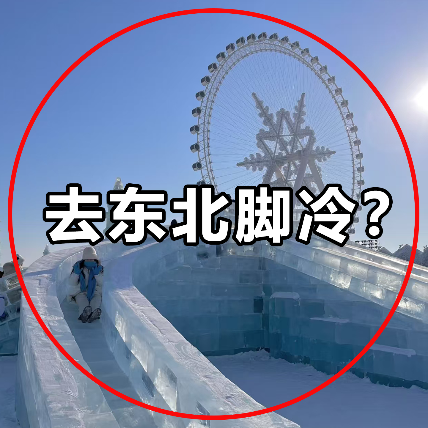 东北防寒装备零下40度羊绒中筒袜子中筒羊毛袜加长绒保暖床单被套