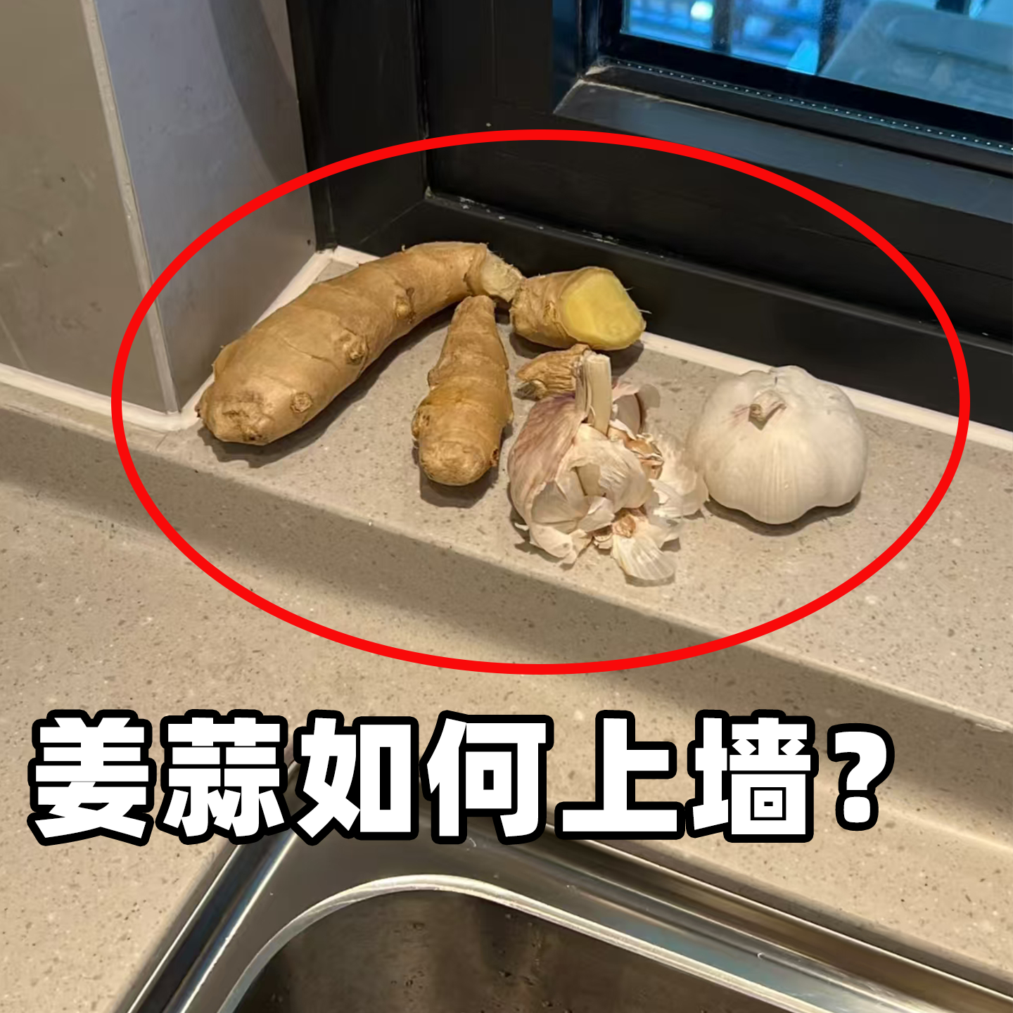 吸盘葱姜蒜收纳盒厨房置物架壁挂大蒜收纳神器收纳挂篮水槽沥水袋