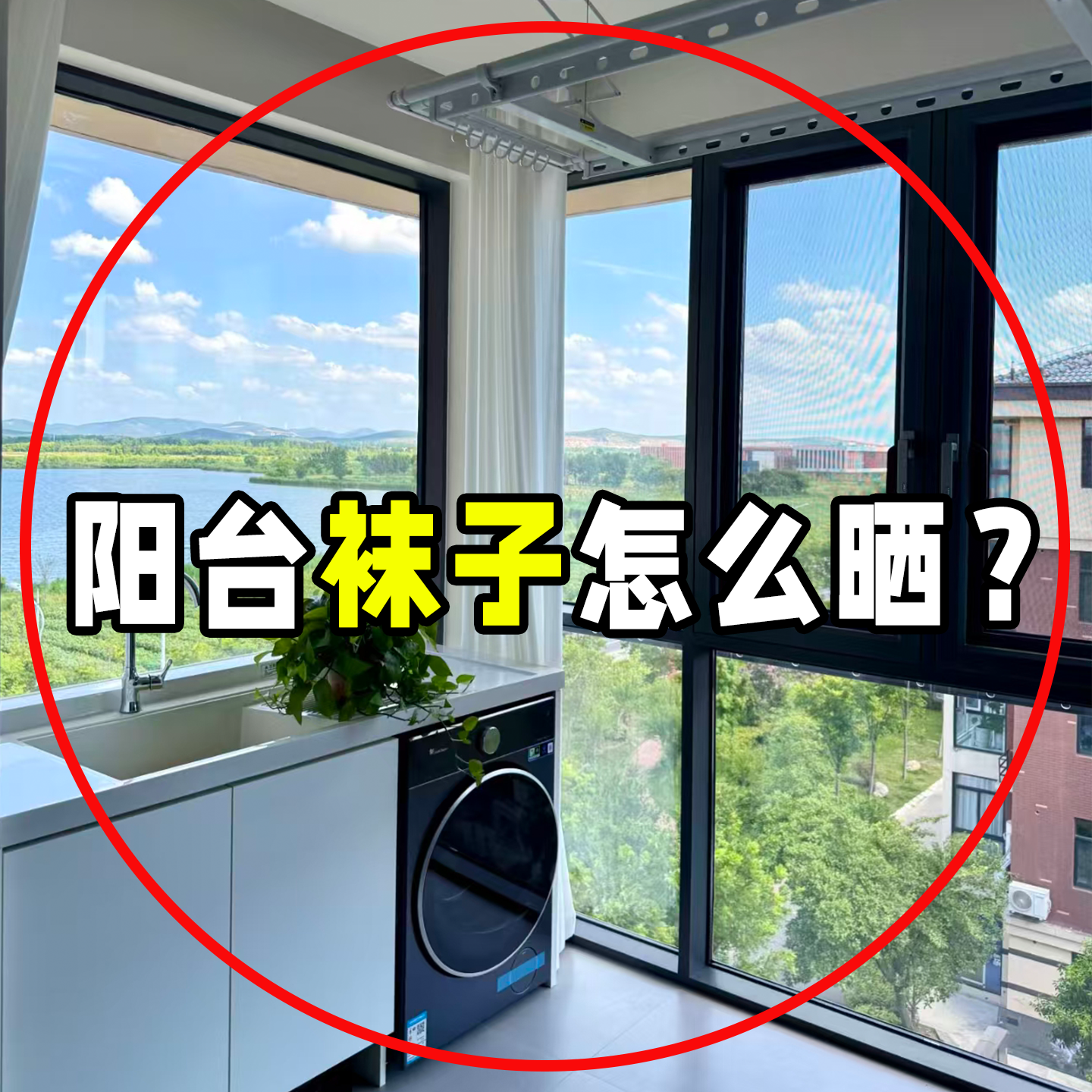 吸盘袜子晾晒架多夹子晾衣架