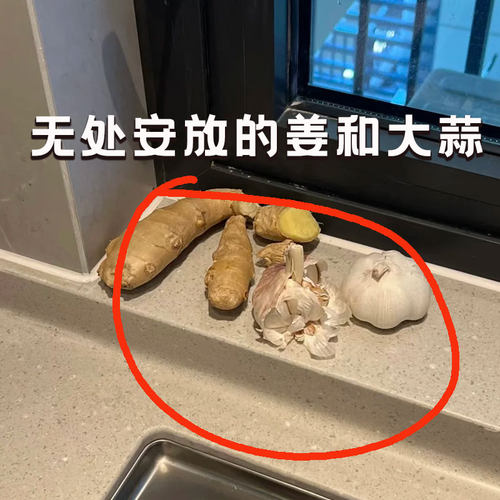 放葱姜蒜收纳盒置物架厨房收纳神器菜篮子免打孔小挂篮壁挂式吸盘
