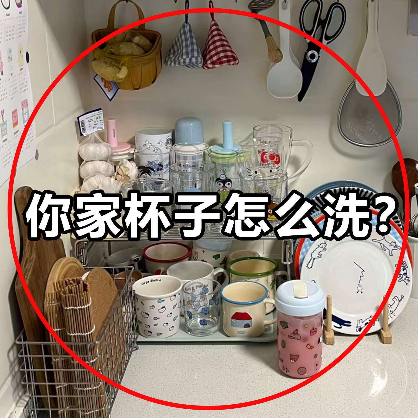 杯刷奶瓶刷五合一刷多功能保温杯刷吸管刷洗杯子神器微波炉清洁器