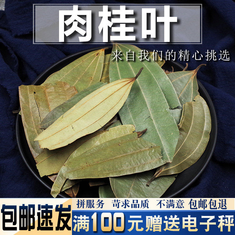 大桂叶500克包邮 肉桂叶大月桂树叶香桂叶香料调料大全卤肉料