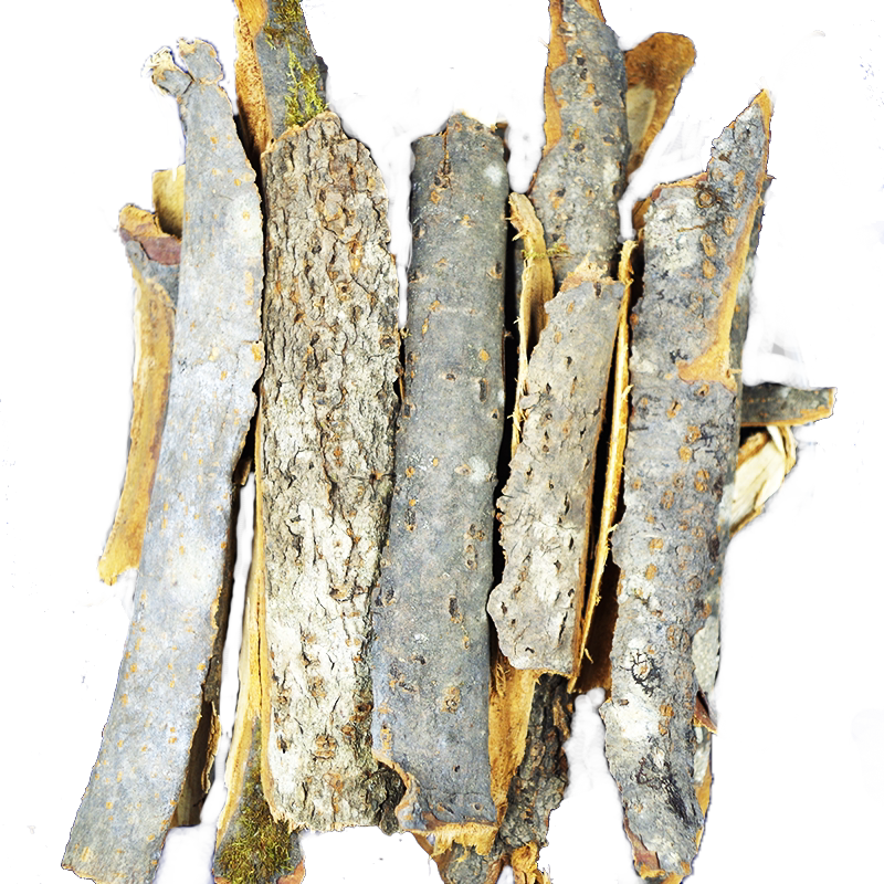 丁香树皮50-500克包邮当季新货中药材新品干货丁香皮丁皮另有丁香
