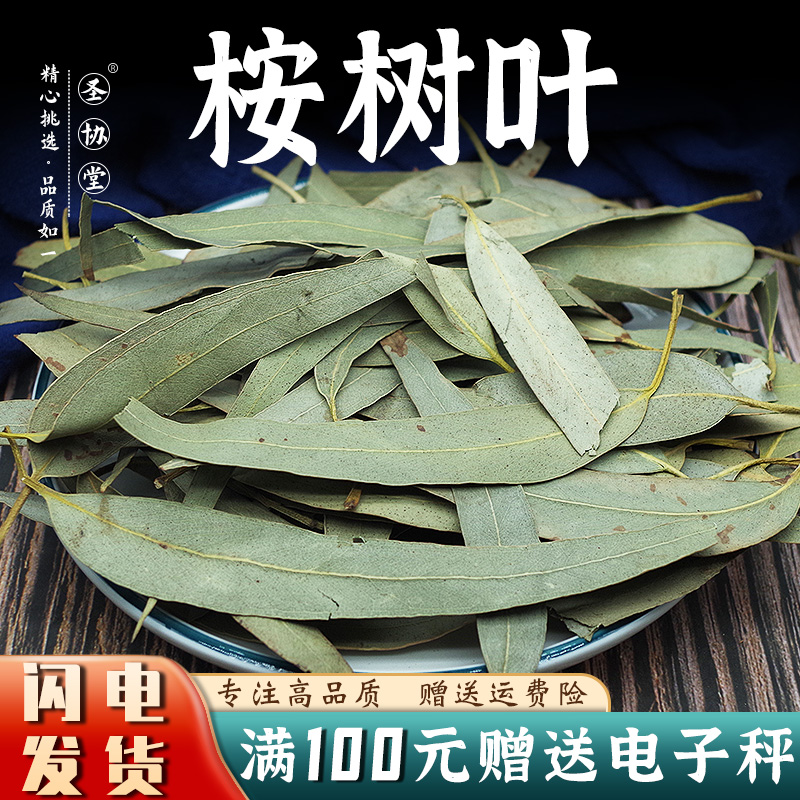 桉树叶250-500克中药材包邮新货新鲜干货大叶桉 小桉叶 尤加利叶