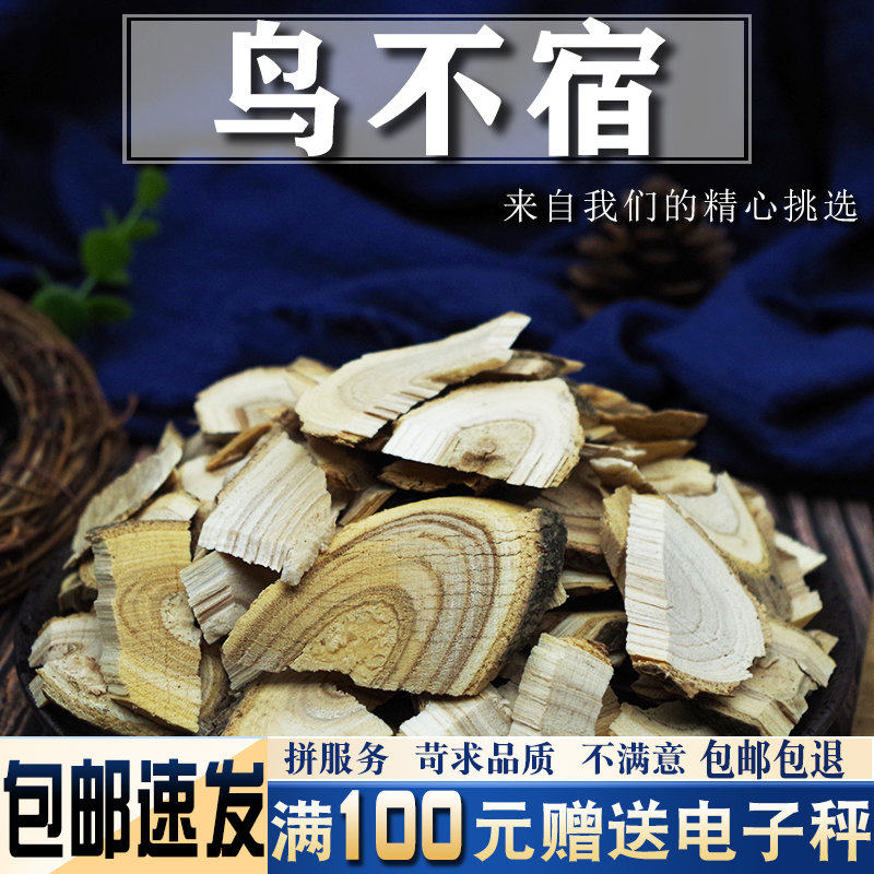 鸟不宿 500克g包邮 中药材雀不站 红楤木葱木 忽木 刺老 实体店铺