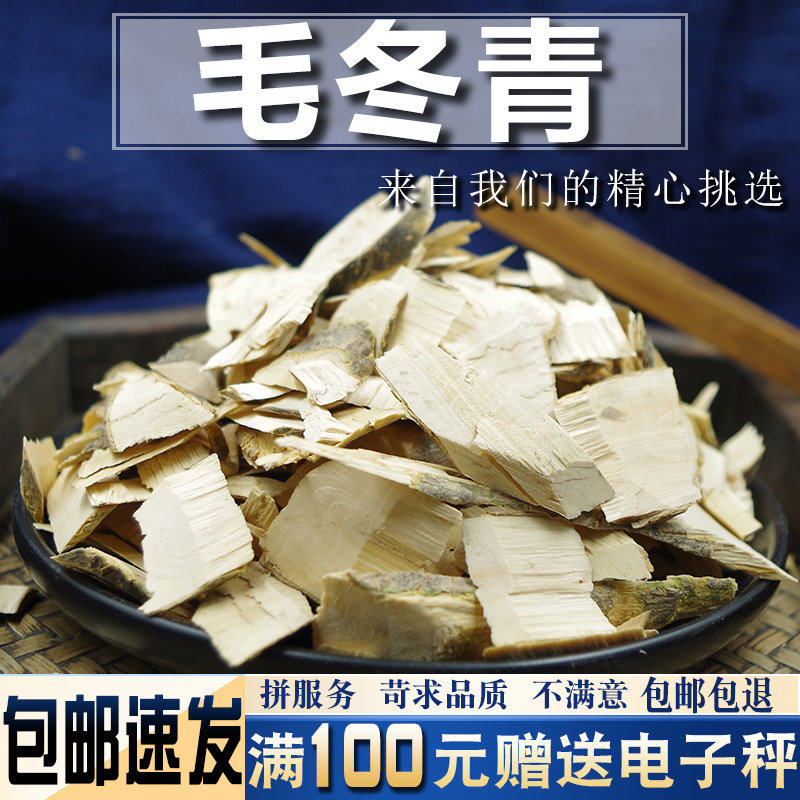 毛冬青500克新品干货包邮 乌尾丁 痈树 六月箱 细叶冬青 苦田螺